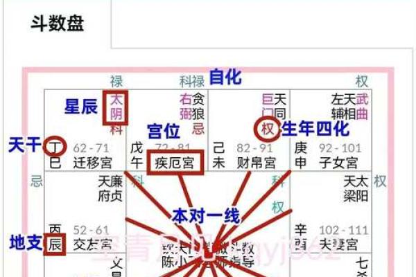 探秘女命本命命盘:揭示命运的深层次含义与解析 探秘女命本命命盘:揭示命运的深层次含义与解析