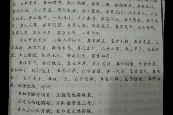 2022兔年运势与命理解析:如何把握自己的命运与未来 2022兔年运势与命理解析:如何把握自己的命运与未来