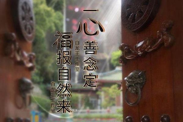 探寻2001年命理之旅:解密你的命运与人生 探寻2001年命理之旅:解密你的命运与人生