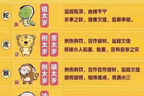 2012年龙年命运解析：解读你的生肖与命理之道