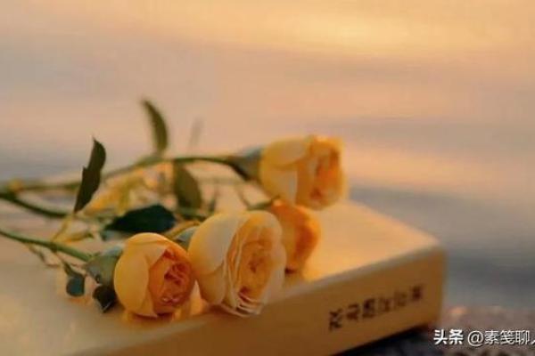 92年属猴，聪明灵活的命运解析与人生指南