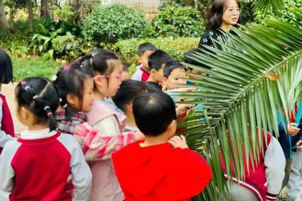 19950917命运解析：解锁生命的秘密与人生规律