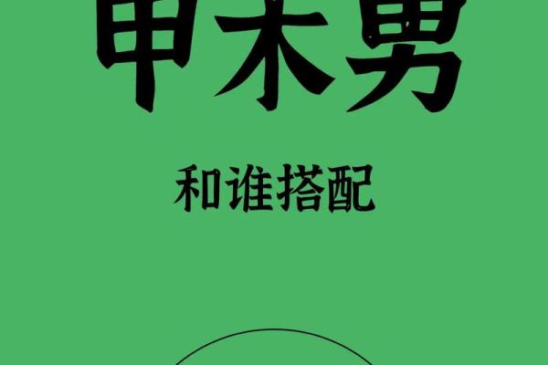 松柏木命人如何选择最合适的搭配和发展方向