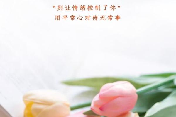 命运之轮:当我们无法逃脱人生的安排时,如何找到内心的自由? 命运之轮:当我们无法逃脱人生的安排时,如何找到内心的自由?