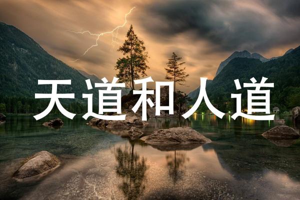 探秘七两三命：命运背后的智慧与奥秘