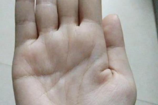 探索命运的奥秘：解密01年出生的人生轨迹与性格特征