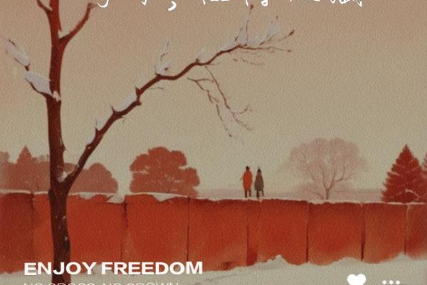 命与舍：探讨人生中的选择与放弃