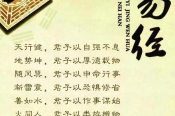 深思熟虑，老成持重：智慧的命运之道