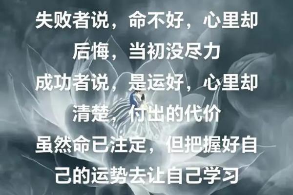 命与运:探讨人生旅途的双重引导之力 命与运:探讨人生旅途的双重引导之力