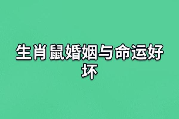 1996年鼠年出生的人命运与个性解析 1996年鼠年出生的人命运与个性解析