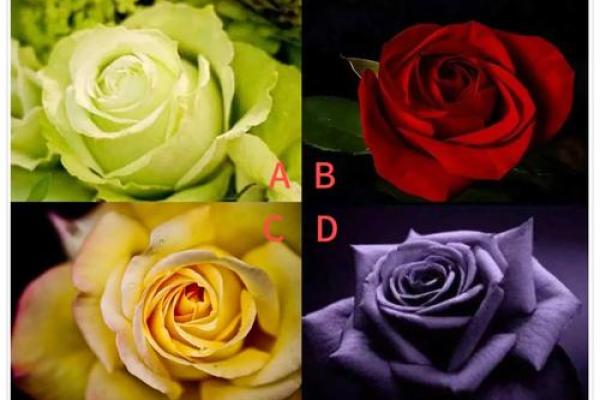 火命体弱者的最佳饰品选择,提升运势与个性魅力! 火命体弱者的最佳饰品选择,提升运势与个性魅力!