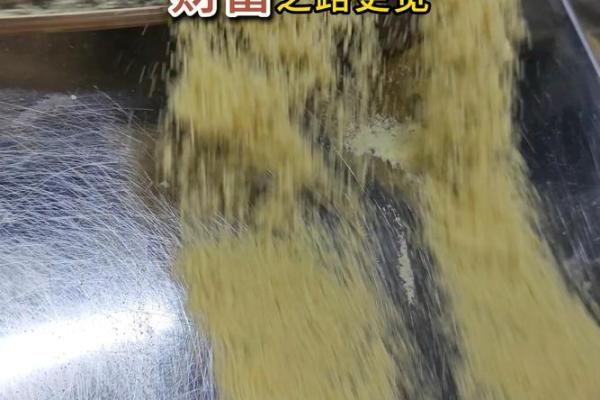 火命与水命的完美搭配,共创财富之路! 火命与水命的完美搭配,共创财富之路!