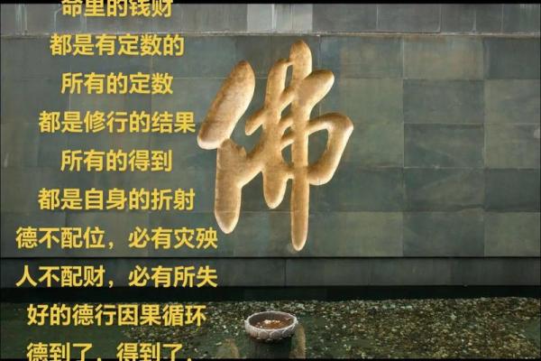 贵命与上等命的奥秘：你知道它们有什么区别吗？