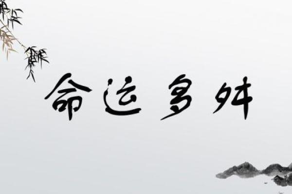 探索命运与机遇的交汇：成语背后的智慧与启示