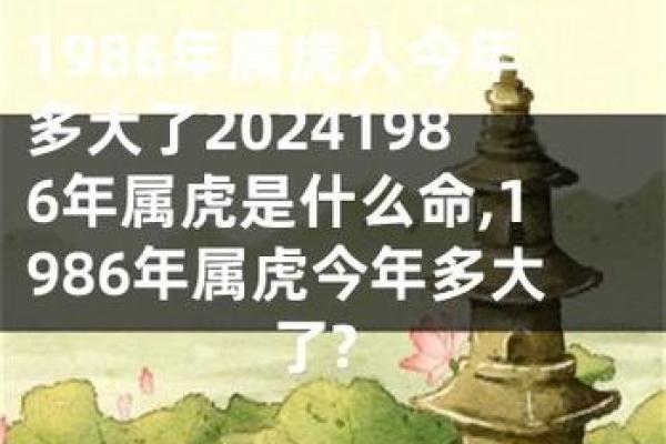 1962年老虎年出生的命运与性格解析 1962年老虎年出生的命运与性格解析