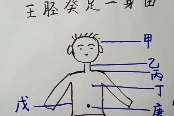 应龙之命男命格:命理中的神秘与智慧探讨 应龙之命男命格:命理中的神秘与智慧探讨