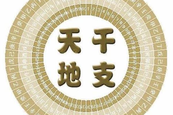 命理中的天干与命运解析：探寻人生的秘密