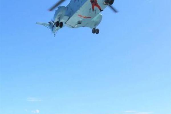 以命搏命，人胆寒：深探生命与勇气的极限之旅