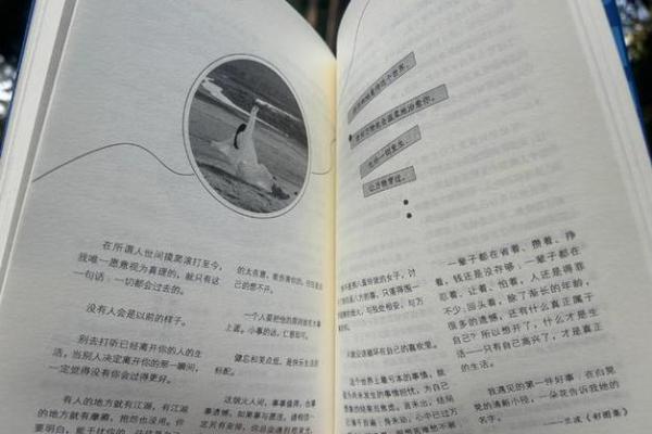 探寻1984年正月29日的命运奥秘与人生哲学