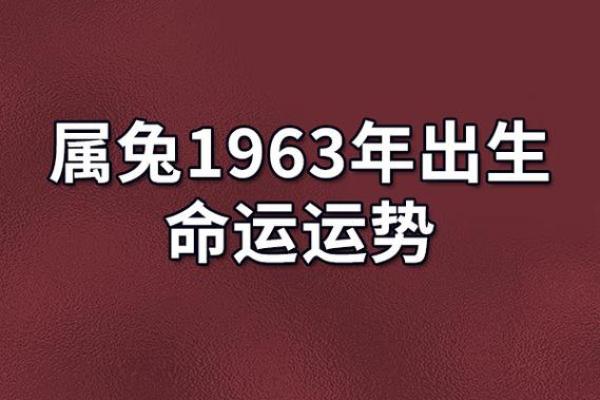 2023年运势解析:如何把握命运的脉搏与方向! 2023年运势解析:如何把握命运的脉搏与方向!