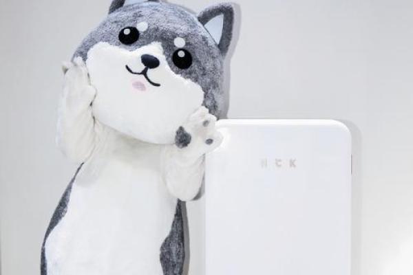 2018年狗宝命运解析:如何挖掘其独特的命理机会与挑战 2018年狗宝命运解析:如何挖掘其独特的命理机会与挑战