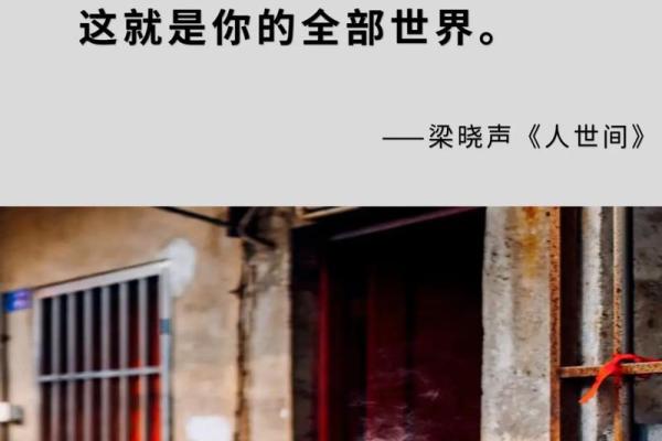 1986年1月2日出生的人:命运与人生的精彩旅程 1986年1月2日出生的人:命运与人生的精彩旅程