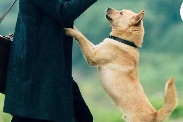 1986年1月2日出生的人:命运与人生的精彩旅程 1986年1月2日出生的人:命运与人生的精彩旅程