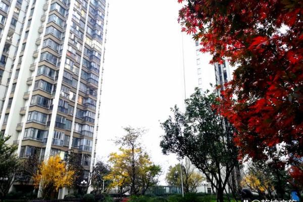 土命与最佳搭配:探索命理中的和谐之道 土命与最佳搭配:探索命理中的和谐之道