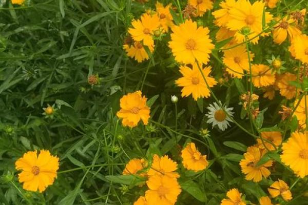 探秘女命迁移宫：命理学中的人生转折点