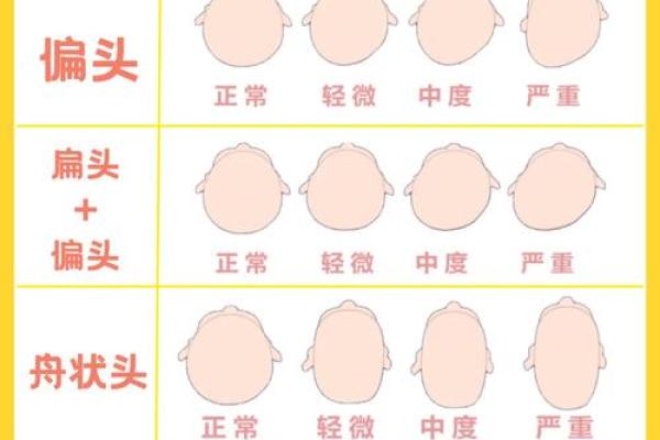 头骨圆润，命运如何？揭秘头型与性格关系