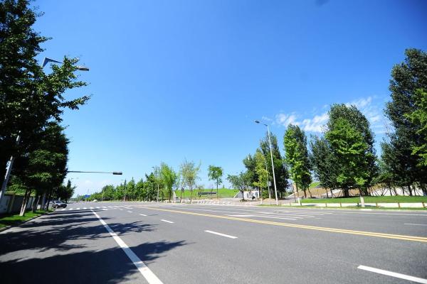 19950818命运解析:如何掌握自己的未来与幸福底色 19950818命运解析:如何掌握自己的未来与幸福底色