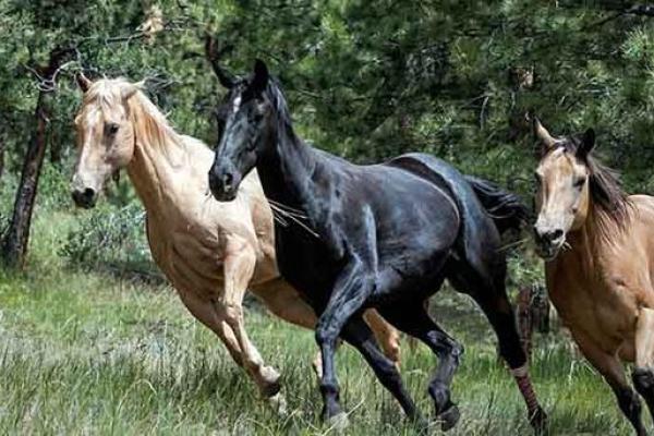 19879年出生者的命运与人生探索:在时代变迁中寻求自我价值! 19879年出生者的命运与人生探索:在时代变迁中寻求自我价值!