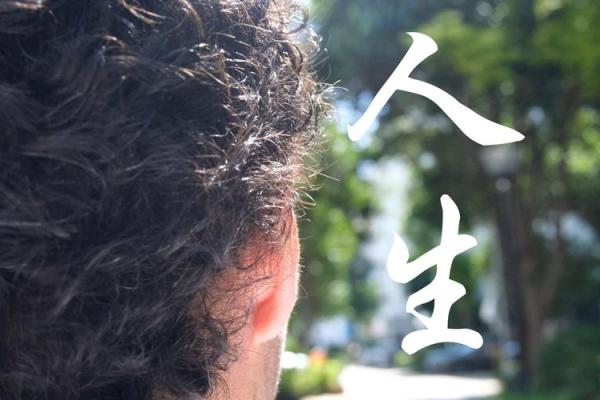 19941113的命运解析：探寻人生的奥秘与机遇