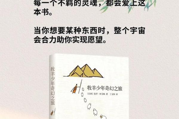 酉时出生的男孩：命格解析与人生启示