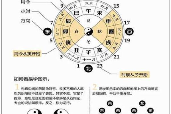 命理八字解析实例：揭示命运的奥秘与启示
