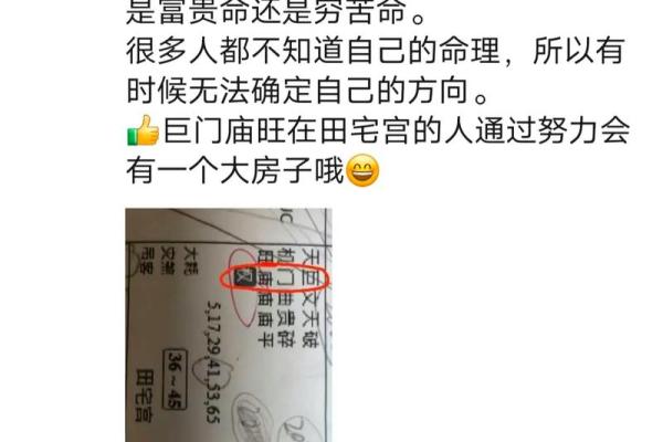 2027年马年适合什么命格？解析马年命理与人生运势