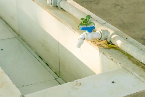 琵琶行的命运启示：从音乐到人生的深刻反思