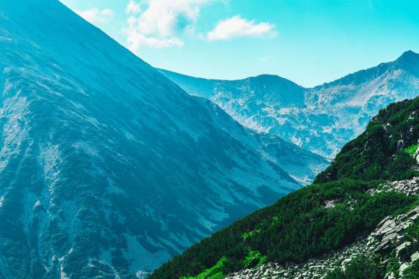 977年出生的蛇年命：绚丽人生与命运解读