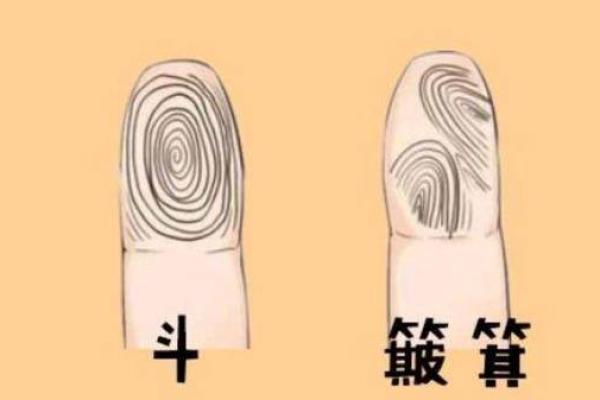 揭开全是簸箕的人命格之谜：他们的性格与命运分析