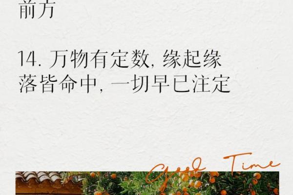 探寻命运的奥秘:为何我们无法改变命运? 探寻命运的奥秘:为何我们无法改变命运?