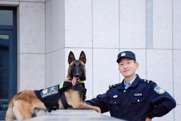 1983属狗人的命运与性格探秘：聪慧与忠诚的结合