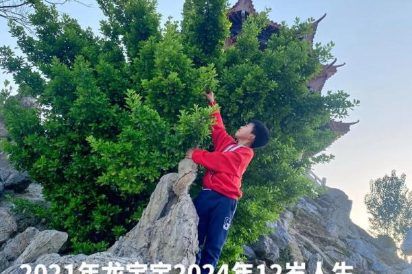 没孩子什么命最好呢?探讨人生选择与幸福的真正意义 没孩子什么命最好呢?探讨人生选择与幸福的真正意义