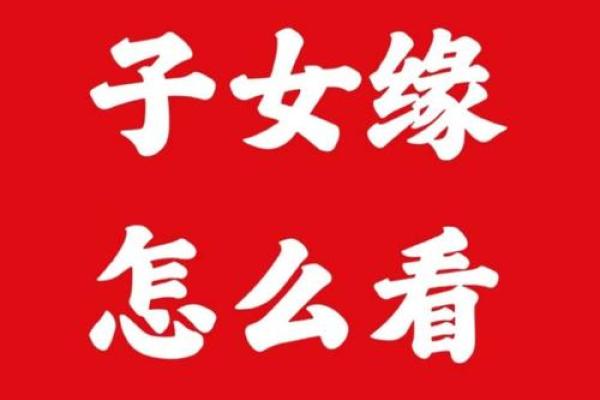 水虎命与火命的最佳结合,探讨五行合婚秘诀! 水虎命与火命的最佳结合,探讨五行合婚秘诀!