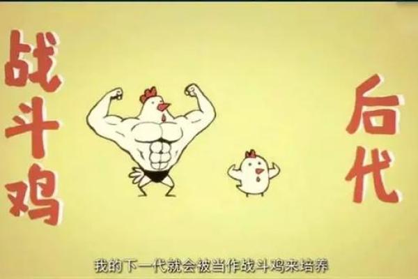 2017鸡年命理解析：鸡年出生的人格特征与命运解析