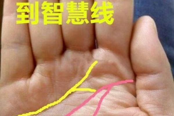 71年是水命还是金命?解读你的命格与生活智慧 71年是水命还是金命?解读你的命格与生活智慧