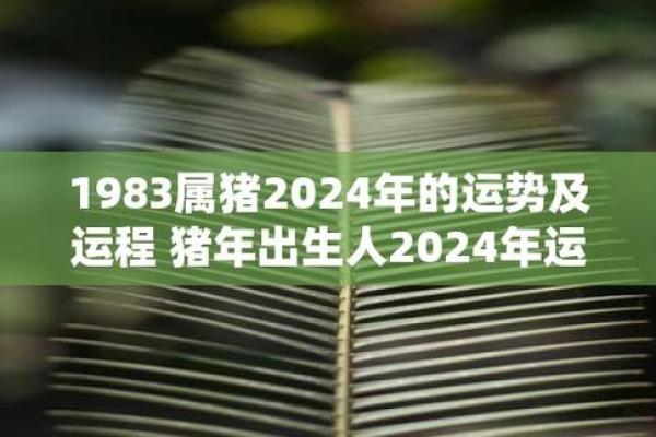 1983年属猪女人的命运解析：智慧与温柔并存的生命旅程