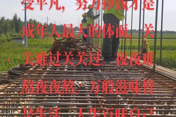 前世丫鬟今生命：命运的轮回与人生的选择