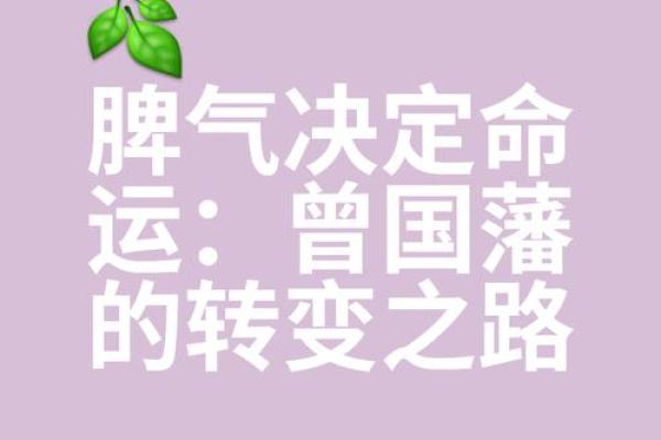 什么贪财的才什么命:财富与命运的微妙关系 什么贪财的才什么命:财富与命运的微妙关系