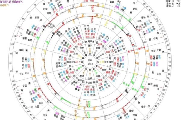11月的命理解析：如何在寒冷中找到温暖与方向