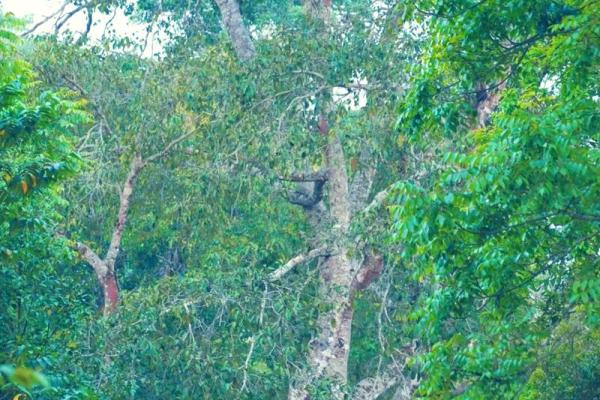 与世无争的人生哲学：宁静而致远的智慧之路